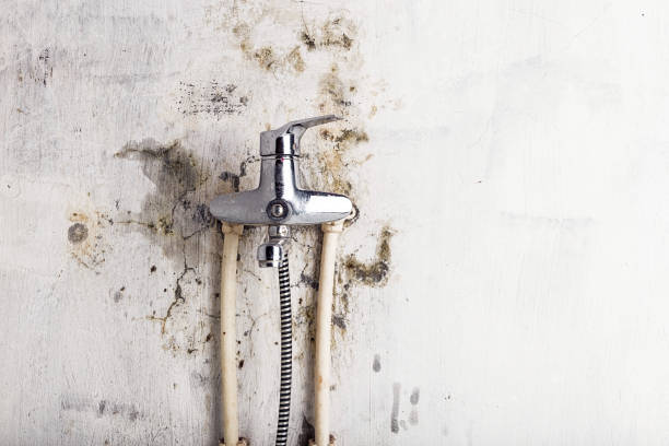 Best Mold Testing and Removal  in Murphys, CA
