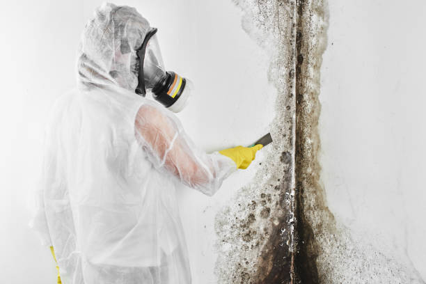 Water Damage Restoration in Murphys, CA