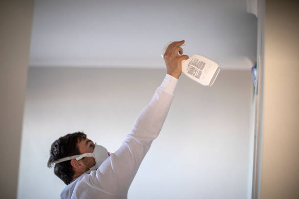 Trusted Murphys, CA Mold Removal Experts