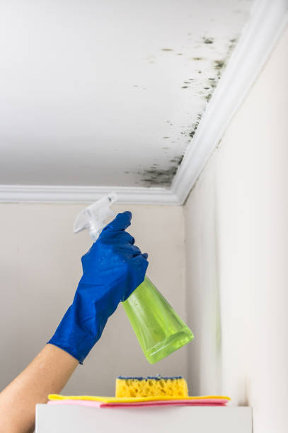 Best Mold Testing  in Murphys, CA